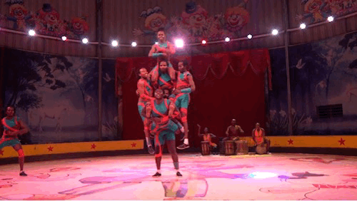 深圳世界之窗门票多少钱一张，深圳世界之窗晚上门票多少（动物园\u0026世界之窗/欢乐海岸水秀）