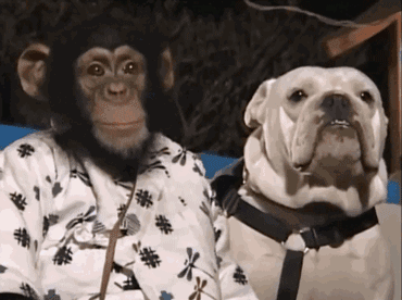 香港综艺节目排行榜，香港经典电影排行榜（那些笑爆肚的TVB经典综艺）