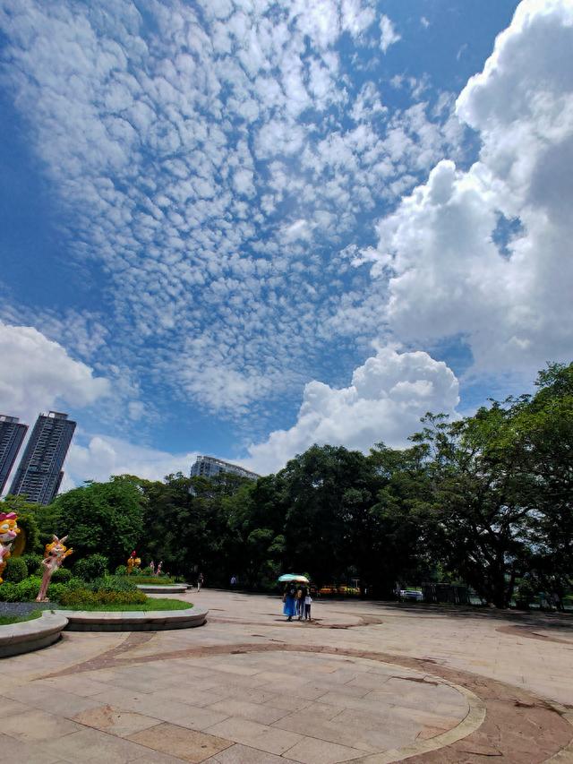 广州旅游攻略—流花湖公园