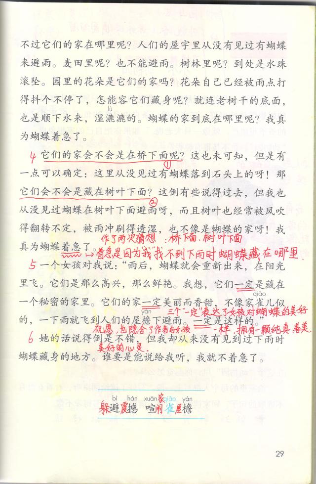 蝴蝶的家到底在哪里，蝴蝶的家在哪里（部编版四年级语文上册课文笔记）