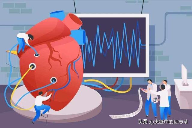 对心脏好的中药，治疗心脏病最好的中药是什么（送你十一味中药）