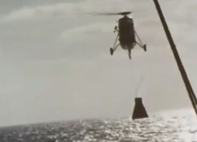 猩猩的寿命，野生大猩猩的寿命（一只黑猩猩被美国送上太空）