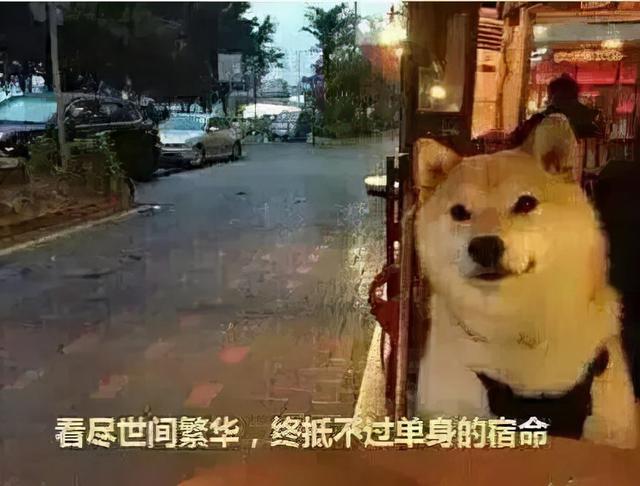 东莞观音山游玩攻略，东莞观音山旅游攻略图（请查收丨这是一份来自观音山的脱单种草攻略）