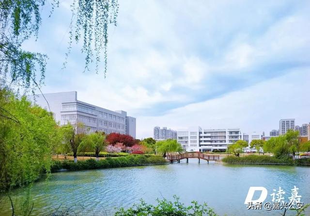 嘉兴南湖学院2021年最低录取分数线多少分，附专业分数线（嘉兴三所高校专业投档分数线出炉→）