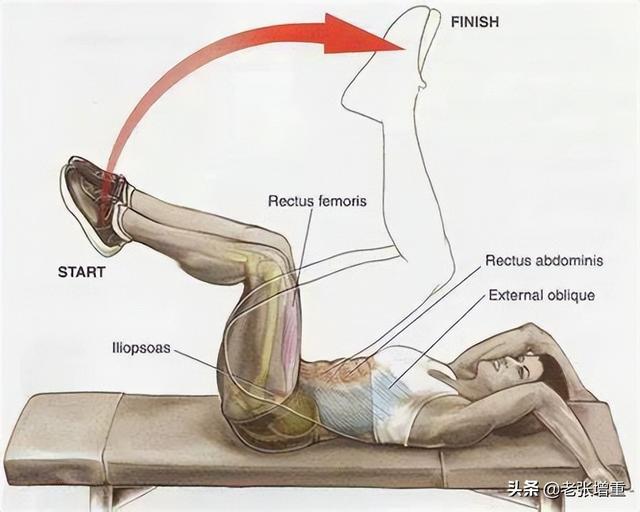 男生该如何正确健身，男士如何健身（想增重应该练哪些肌肉）