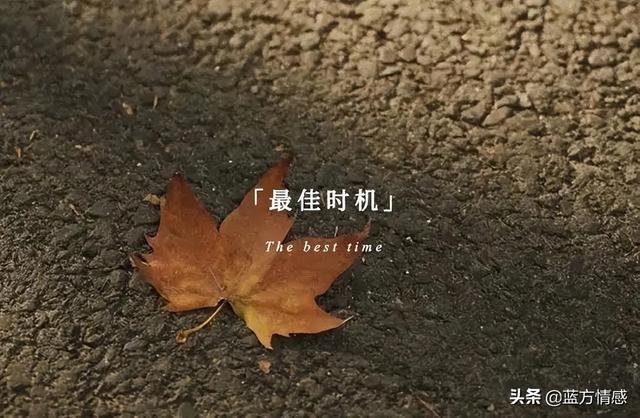 脑疯期多久时间才清醒，男人出轨脑疯期一般是多久（为了小三对原配恶语相向）