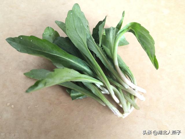 农村100种野菜图片，野菜的种类（常见的野菜图片与名字）