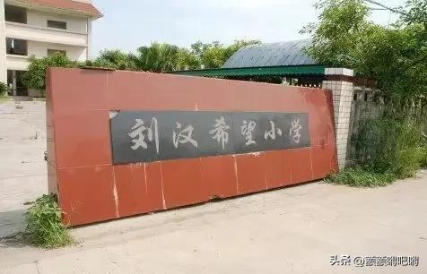 汉龙集团名下企业，身家400亿,染指12位女星,一餐百万的刘汉,死前对妻子大哭