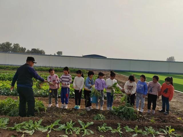 一年级小故事简短，一年级的简短小故事（劳动教育欢乐多——东风小学一年级一班拔萝卜劳动实践活动纪实）