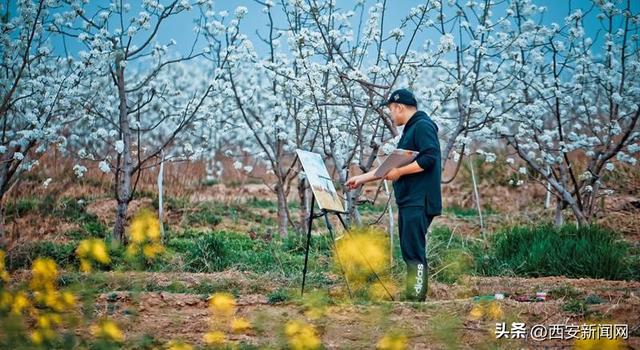 春季旅游十大攻略，10条乡村旅游精品线路任您选