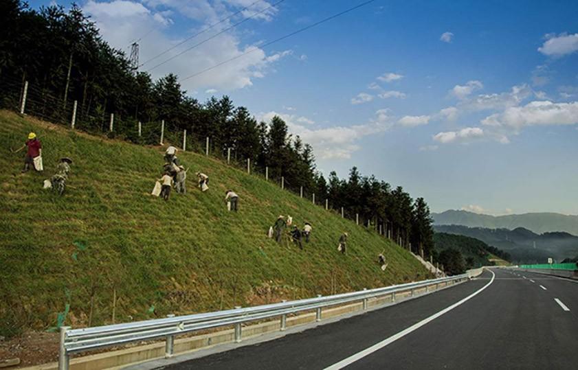 高速公路的绿化带主要分为中间分隔带,公路两侧绿化带,预留绿化带等多