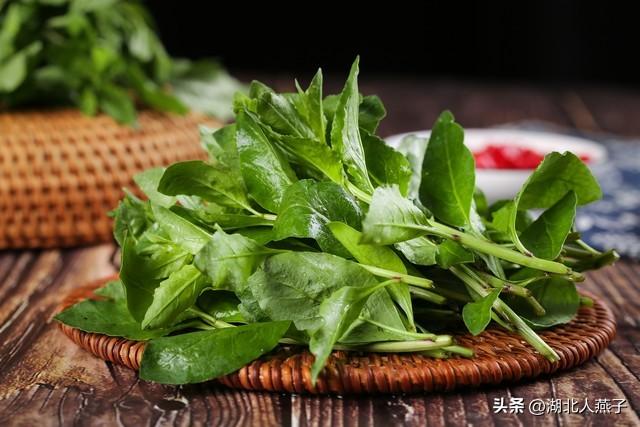 菜图片大全大图，饭店菜谱大全带图片（这43种时令野菜大量生长出来）