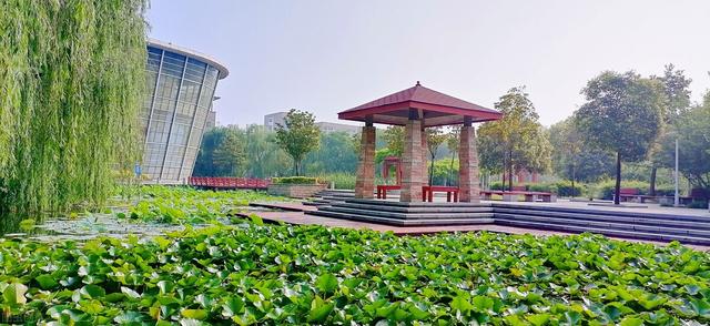 师范高等专科学校排名，2020全国师范类最好的专科学校排名（这5所专科类型的师范高校帮你实现）