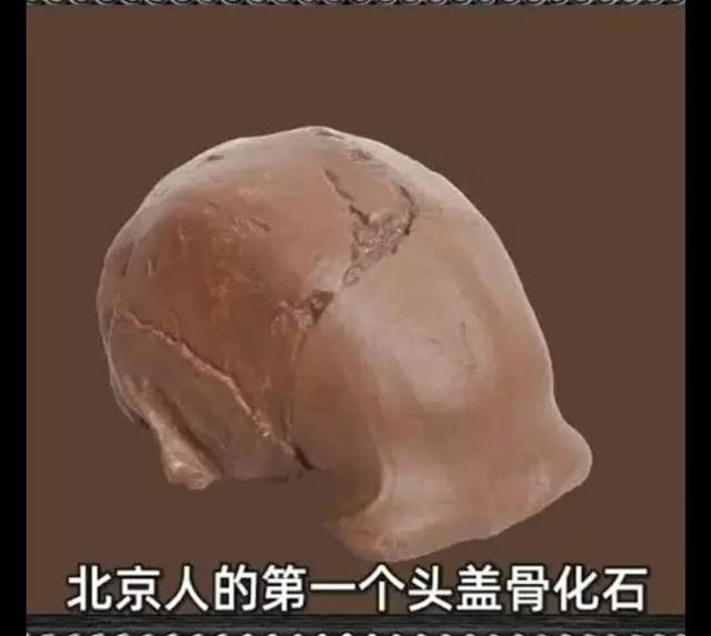 杨贤江的名言，杨贤江的名言青年的懒（中国大地教育的起源）