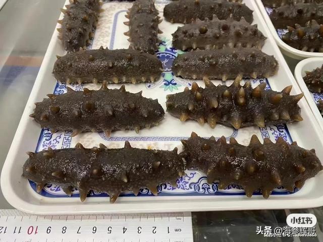 海参多少头的好，最好的海参几个头是好的（海参多少头的好自己吃）