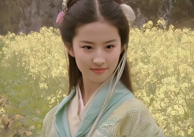 戚薇主演过的电视剧，戚薇演过的电视剧（给“公主演得最好的10个演员”排个名）
