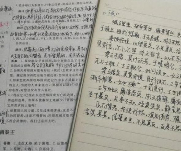 冰墩墩手抄报图片冰墩墩长什么样，冰墩墩绘画作品（中学女生创“冰墩墩”字体走红）