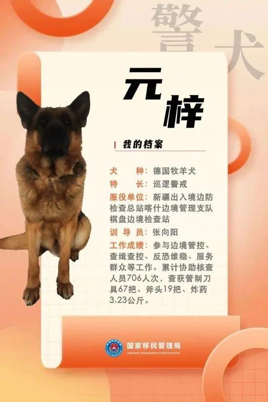 汪汪队立大功百科,汪汪队立大功人物介绍(国家首批功勋犬简历曝光) 汪汪队立大功百科,汪汪队立大功人物介绍(国家首批功勋犬简历曝光)