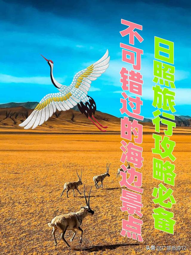日照海边哪里好玩，日照海边哪里好玩的地方（不可错过的海边景点）