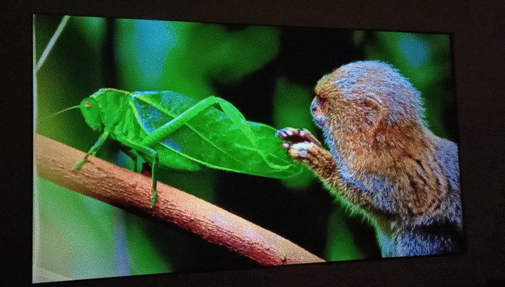 知麻投影z1mini，或许是最适合小青年的千元智能投影仪