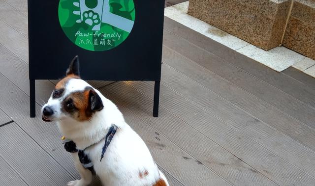 星巴克隐藏菜单，星巴克隐藏菜单攻略（星巴克终极隐藏菜单）