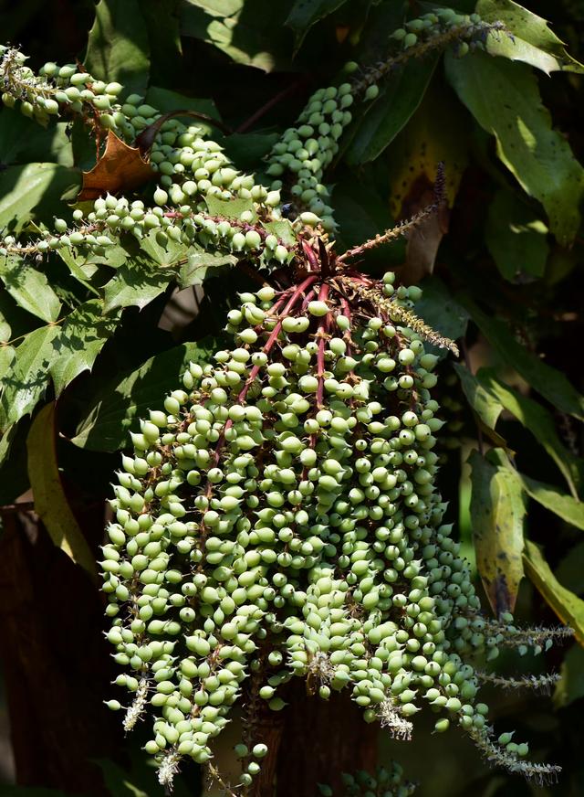 纸花怎么做简单又漂亮，怎么做简单又漂亮的纸花（小小的花朵）