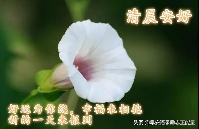 抖音语录经典语录，抖音上的说说经典语录（正能量早安发朋友圈的句子）