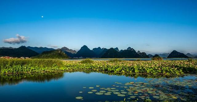 各地荷花景点，今年夏天，去这些地方拍荷花