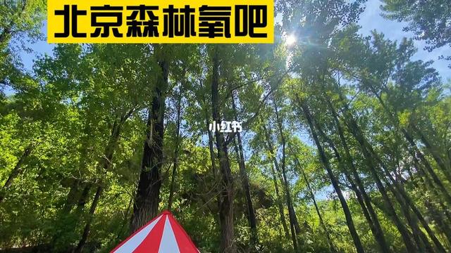 北京3月值得去的6个公园，市区内的森林氧吧，门票最低1元