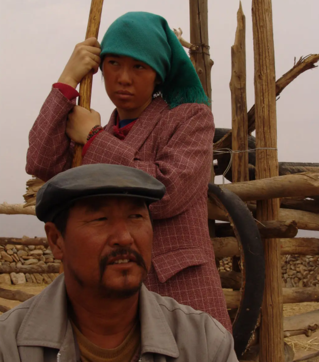 盘龙卧虎高山顶的演员，盘龙卧虎高山顶的演员是谁（把汤唯和蒋勤勤等女星放在一起）