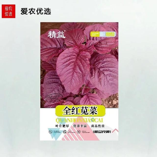 红苋菜有几种，耐抽苔、耐热的红苋菜品种