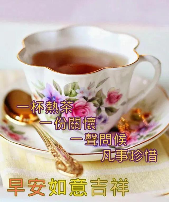 我今天为你祝福，我今天为你祝福歌词（感恩有你早晨问候祝福语）