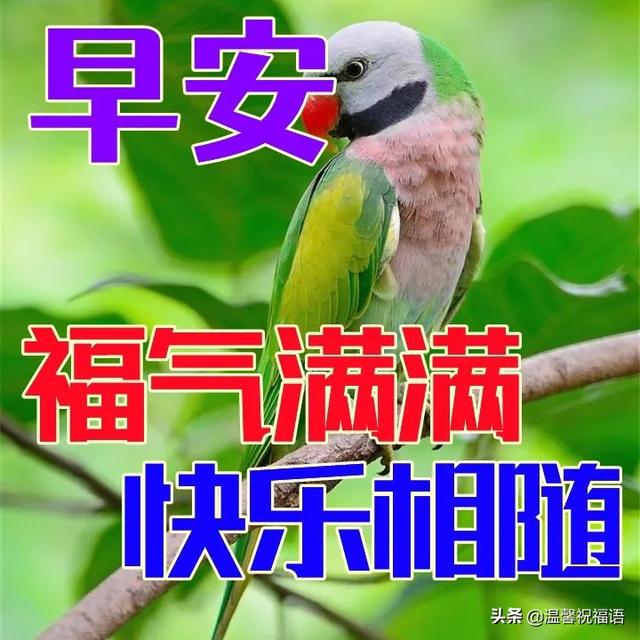 6字唯美短句，爱情的句子唯美短句（夏日天热防暑温馨早上好日常祝福语精选）