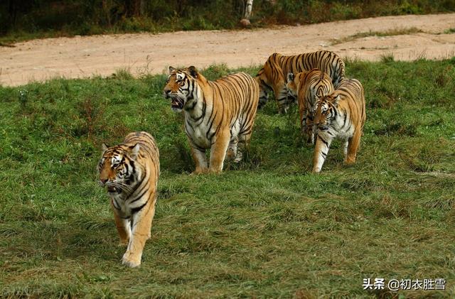 表达父爱如山经典诗句，21首与父亲有关的诗词（看看父亲眼中的孩子）