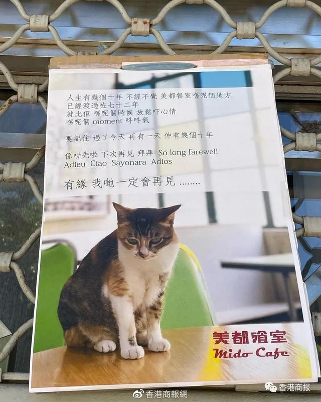 香港美食100强，香港十大小吃排行榜（盘点香港那些消失的老字号食店......）