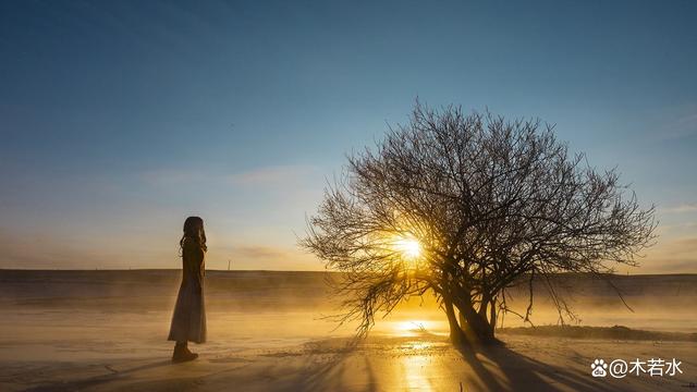 暖阳图片，冬日暖阳（《冬日暖阳》木若水/辽宁）