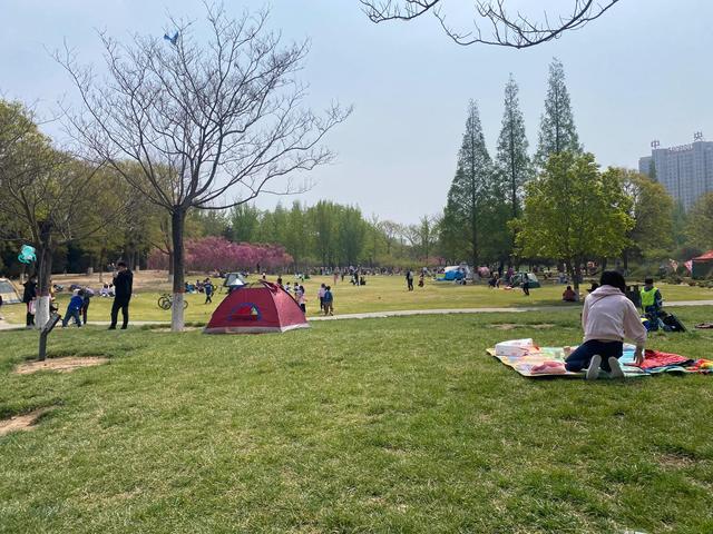 卯代表什么生肖，卯代表十二生肖中的哪种动物（老话说“四月见三卯）
