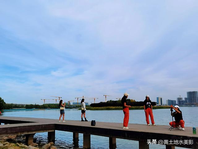 郑州龙湖湿地公园现状分析，河南郑州龙湖湿地公园秋色初露