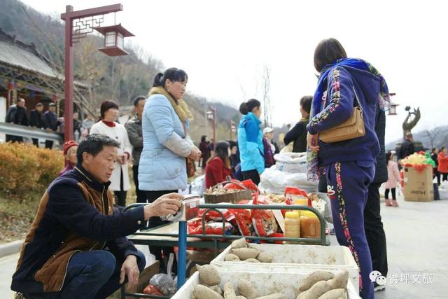 茱萸花怎么画，植物茱萸怎么画（2022佛坪“茱萸花海踏春游”活动即将启幕）