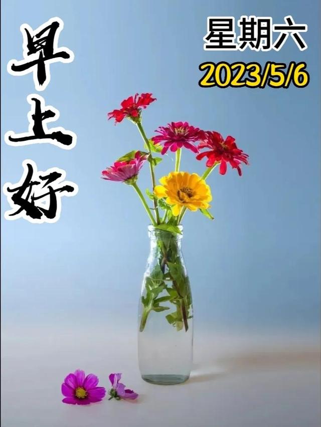 早安问候语每日更新，早上好短句早安问候语每日更新（亲切的暖心问候语）