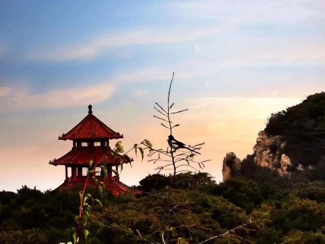 汉乐府最著名的十首诗，曹操最脍炙人口的10首诗