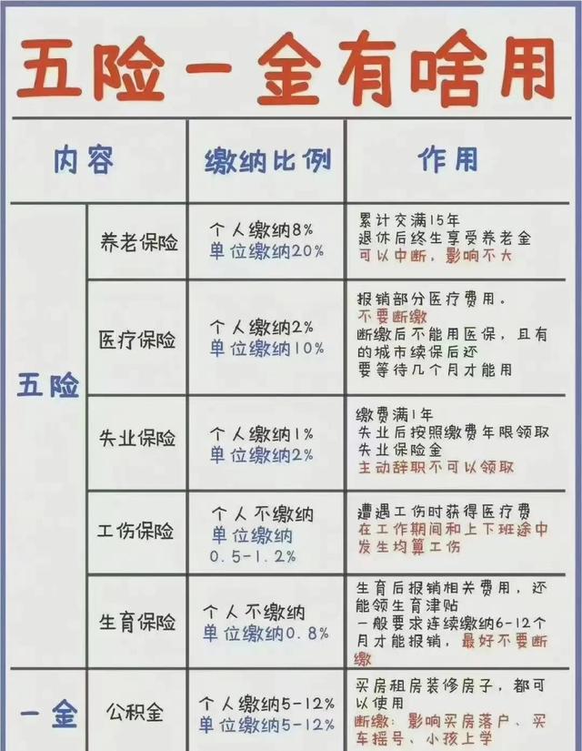 社保是每月的15号必须交吗，个人社保必须在20号前交吗（社保断交有什么影响）