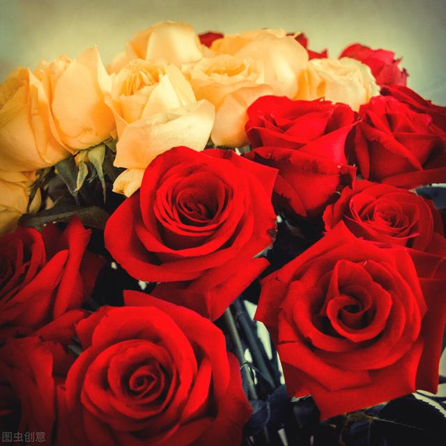 情人祝福语最温馨的短语话，最暖心的情人祝福语简短（写给心里的爱人：身边无你）