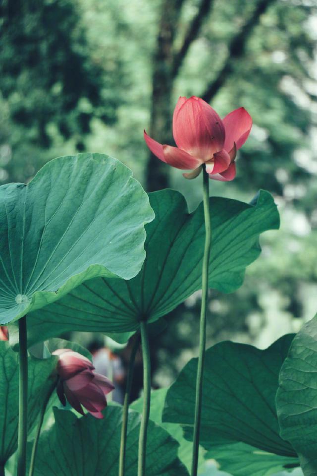 比较有道理的句子，十分有道理的句子（21条富含人生感悟的说说）