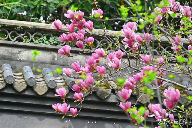 杭州有哪些景区比较值得去，杭州必去十大景区（让你领略自然和人文双重景致）