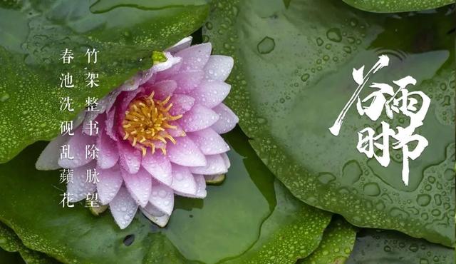 关于谷雨的古诗，关于谷雨的古诗有哪些（一起感受古诗词里的谷雨）