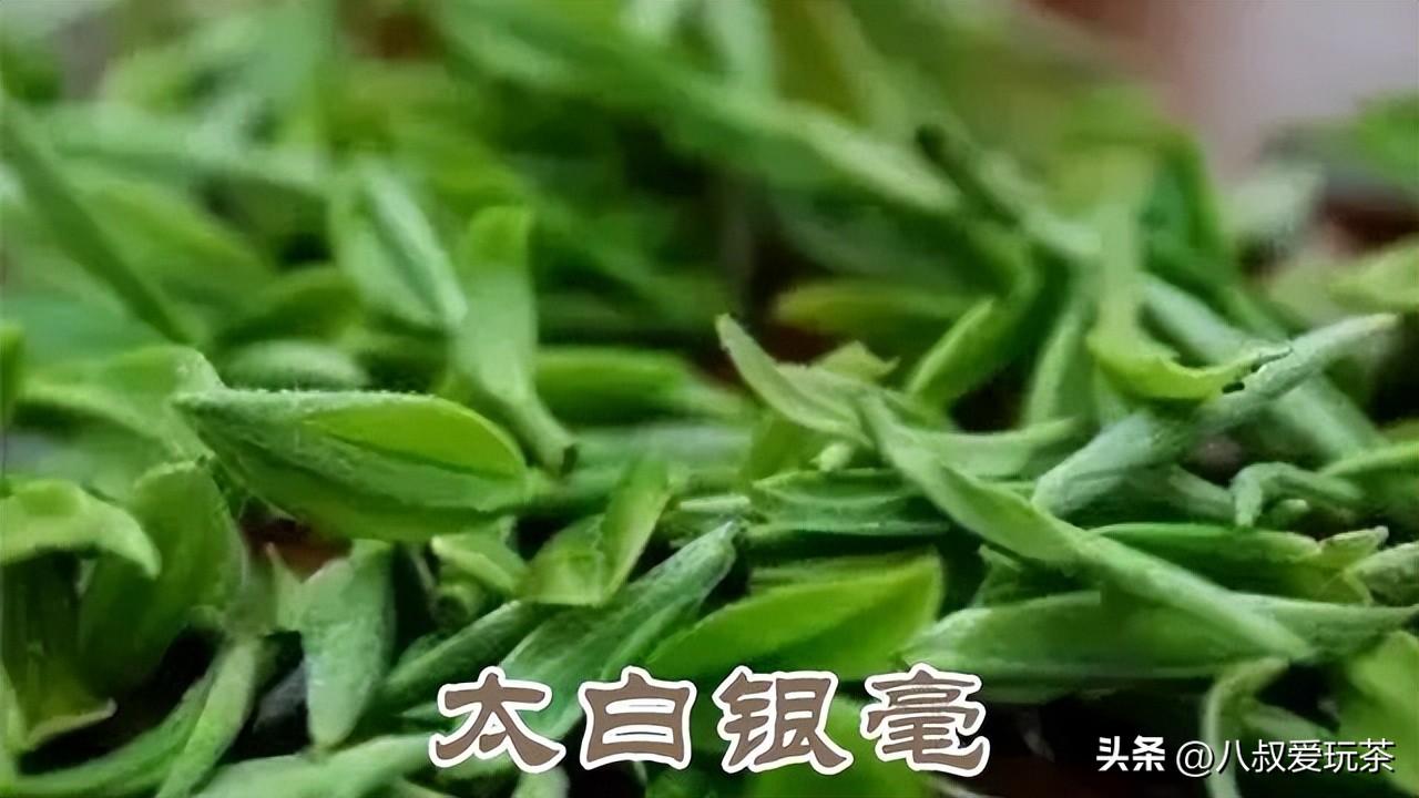 大家茗茶（中国名茶地图）