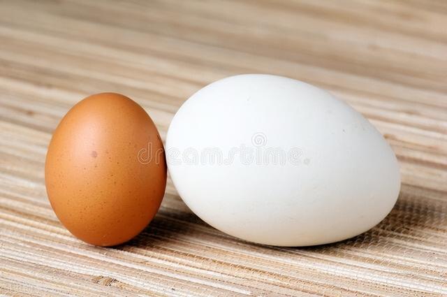 鸡蛋的营养价值，鸡蛋营养价值（鸡蛋、鸭蛋、鹅蛋和鹌鹑蛋）