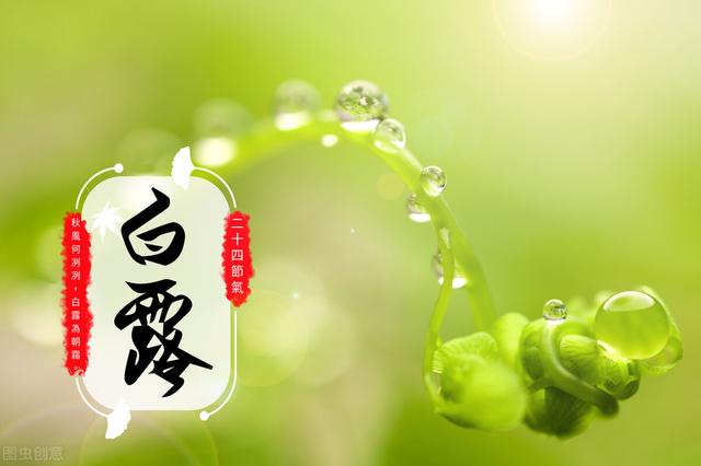 白露节气吃什么，白露节气吃什么蔬菜好（建议“吃3样）