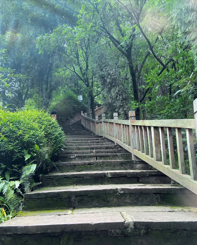 千佛山森林公园，千佛山在哪（不收门票的5个成都周边“小森林”）